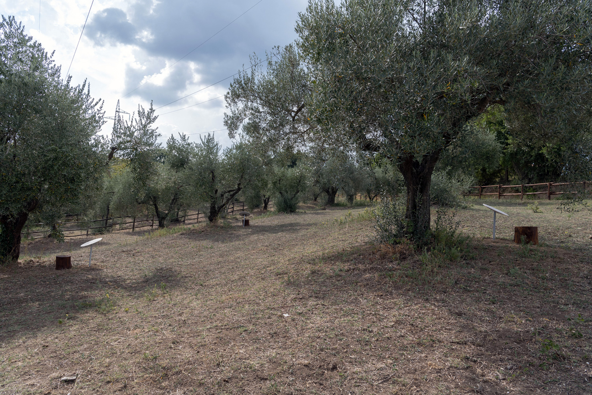 Andrea-Fogli-03