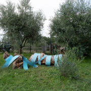 Licia-Galizia-Proteggimi