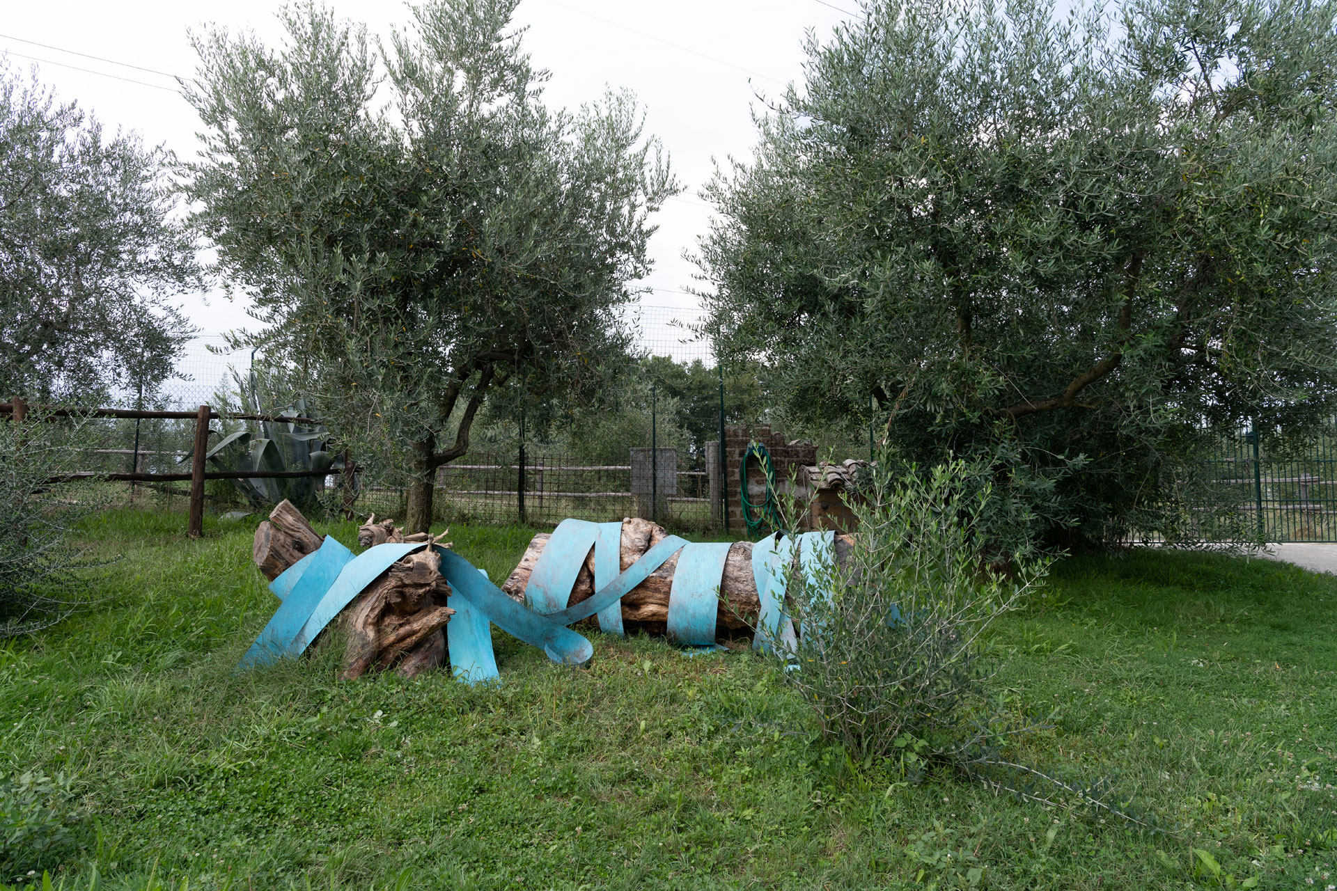 Licia-Galizia-Proteggimi
