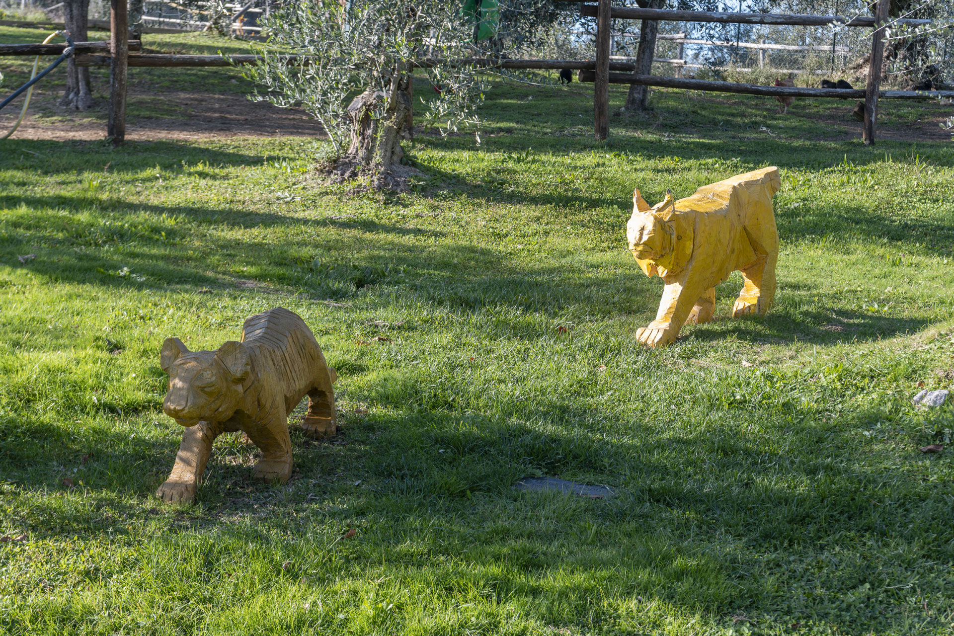 Tigre-e-Lince-Puxeddu