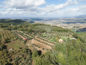 DJI_0064 copia
